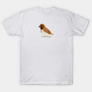 Spice Finch Bird T-Shirt